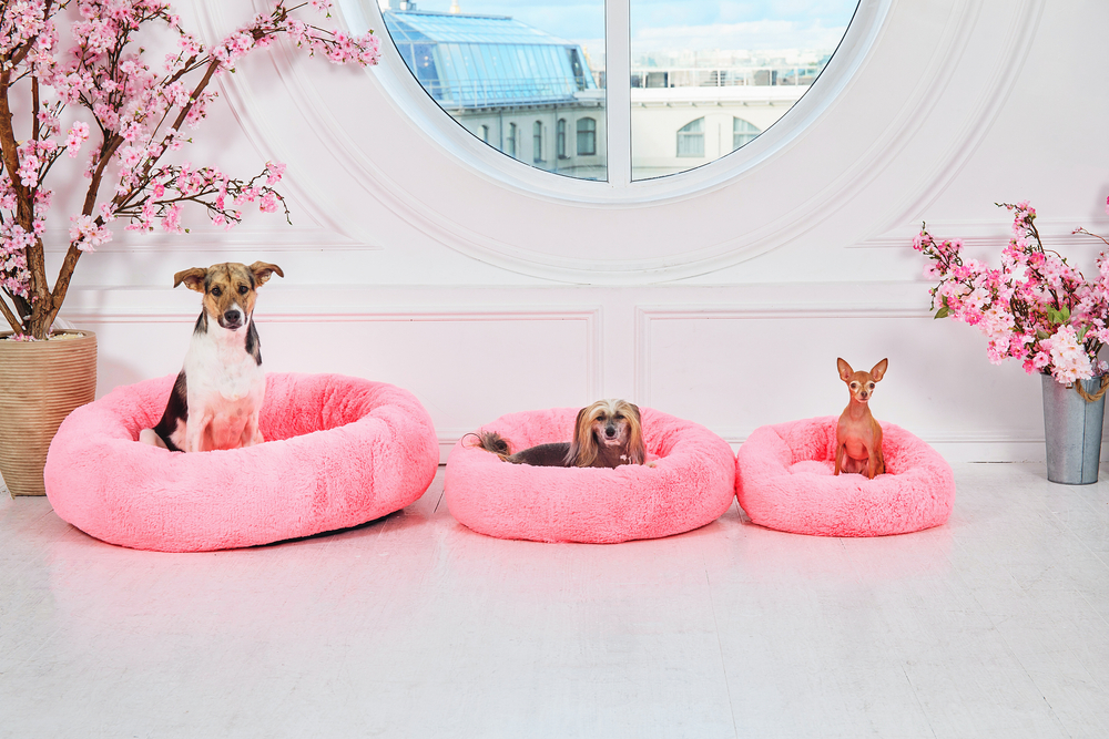 These Extravagant Dog Mansions Will Make You Drool