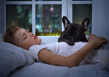 Could rain sounds be the key to a good night’s sleep?