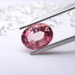 The sale of “The Pink Promise” Diamond made a world record